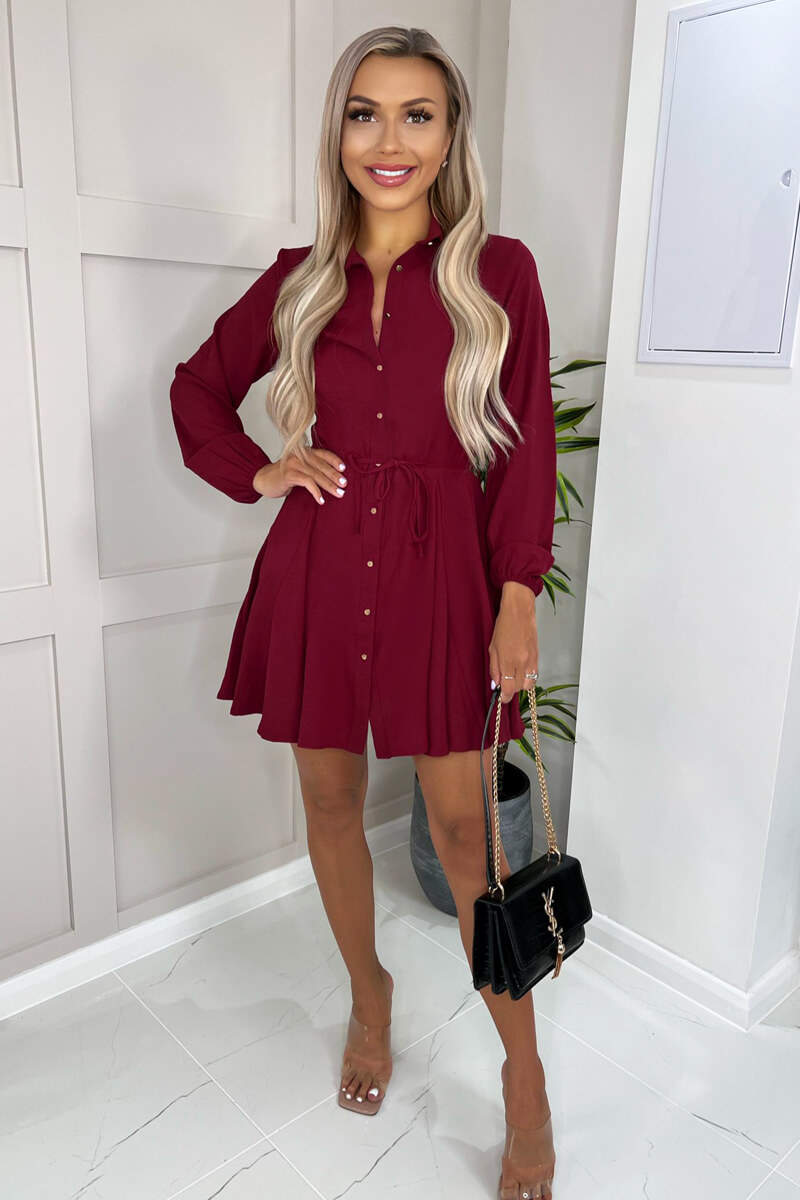 Wine Long Sleeve Belted Pleated Skater D...